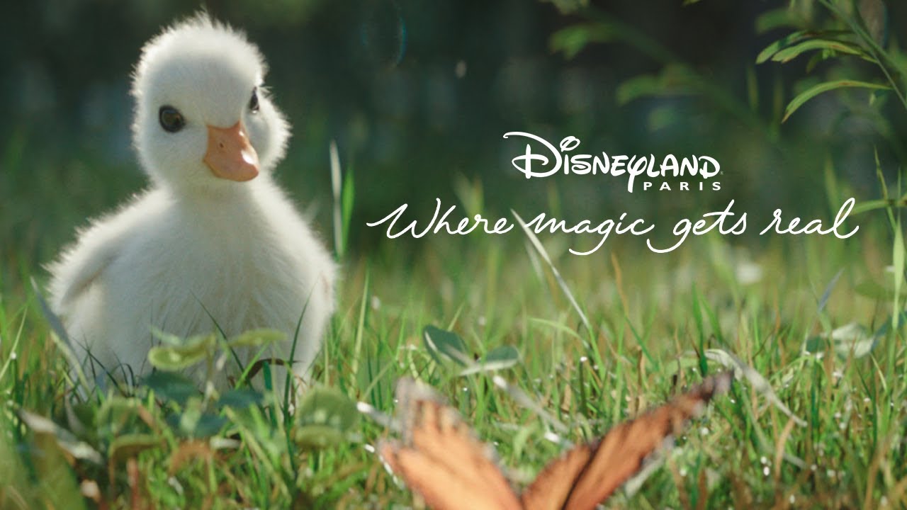Disney – The Little Duck