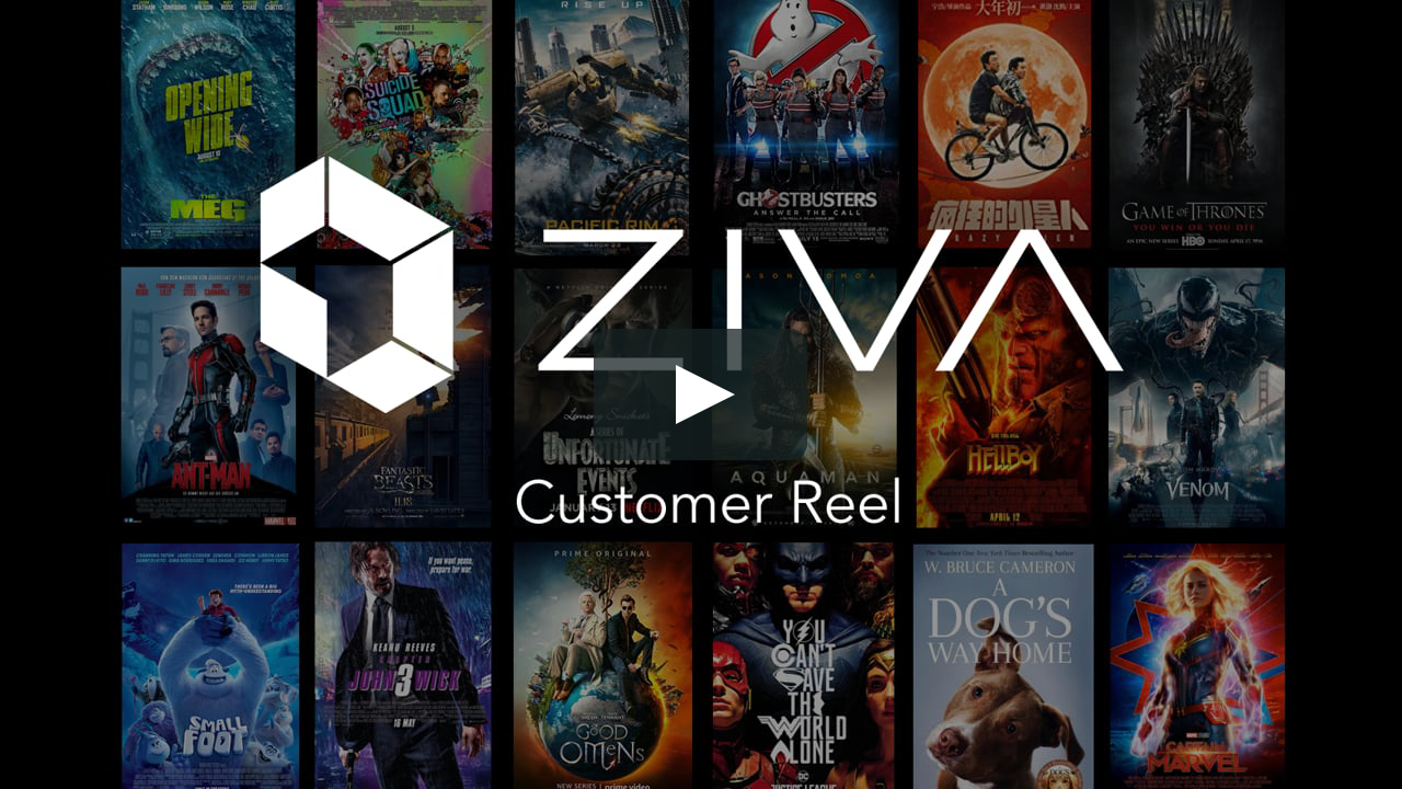 Ziva Dynamics 2019 Customer Reel