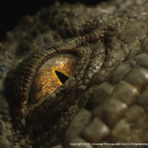 Jurassic World: Fallen Kingdom VFX Breakdown by Image Engine Design Inc